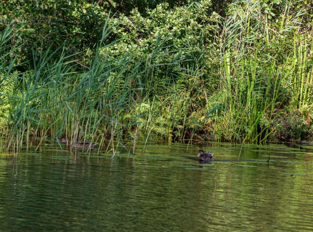 Gastenverblijf Kortvertoef Kortenhoef Bagian luar foto